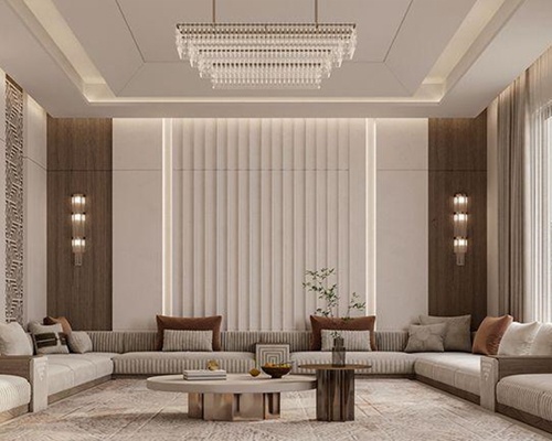 LIVING ROOM interior design concept